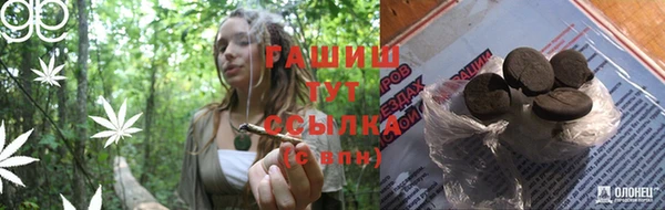spice Баксан