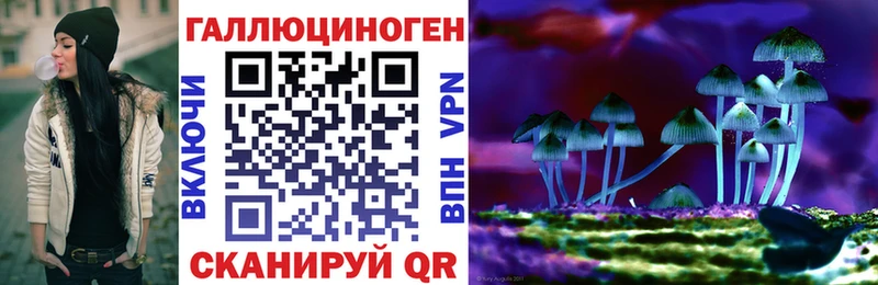 Галлюциногенные грибы GOLDEN TEACHER  Купить где  Минеральные Воды 