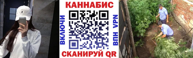 Шишки марихуана планчик  Купить где  Минеральные Воды 